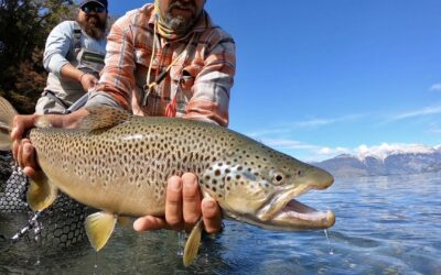 Best of Patagonia Chile Fly Fishing 2021